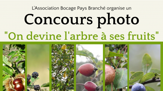 Les photos primées “On devine l’arbre à ses fruits”