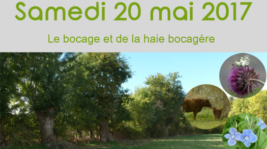 Le bocage et la haie bocagère
