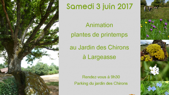Animation Plante de Printemps – Largeasse