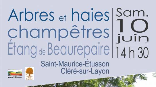 Arbres et haies champêtres de l’Étang de Beaurepaire