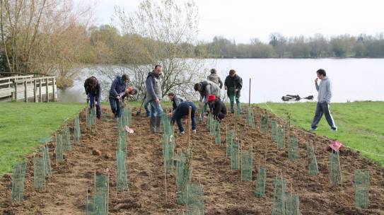 Les programmes de valorisation des haies