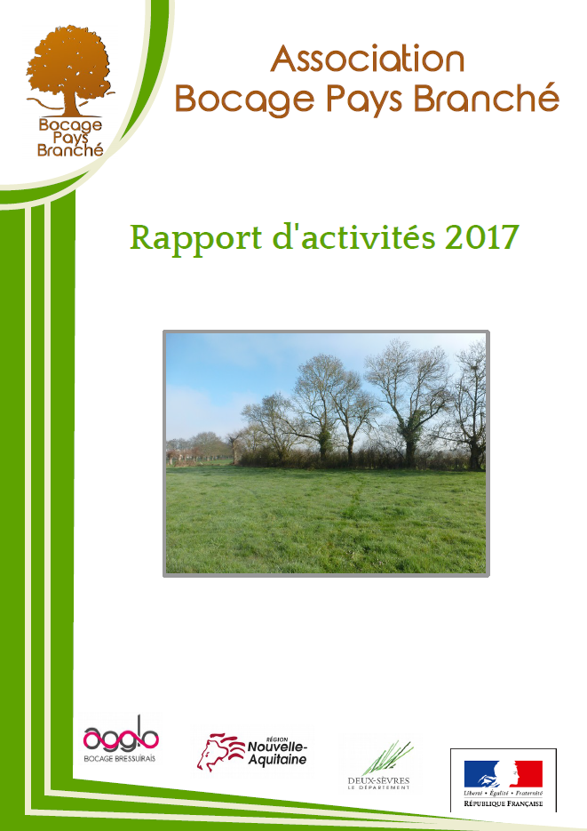 Rapport d’activités 2017