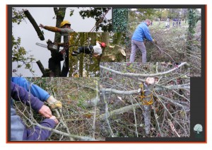 Balade en Bocage @ Les Landes, Chanteloup