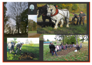 Balade en Bocage @ Les Landes, Chanteloup