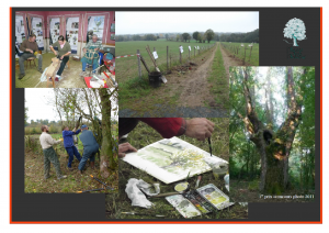 Balade en Bocage @ Les Landes, Chanteloup