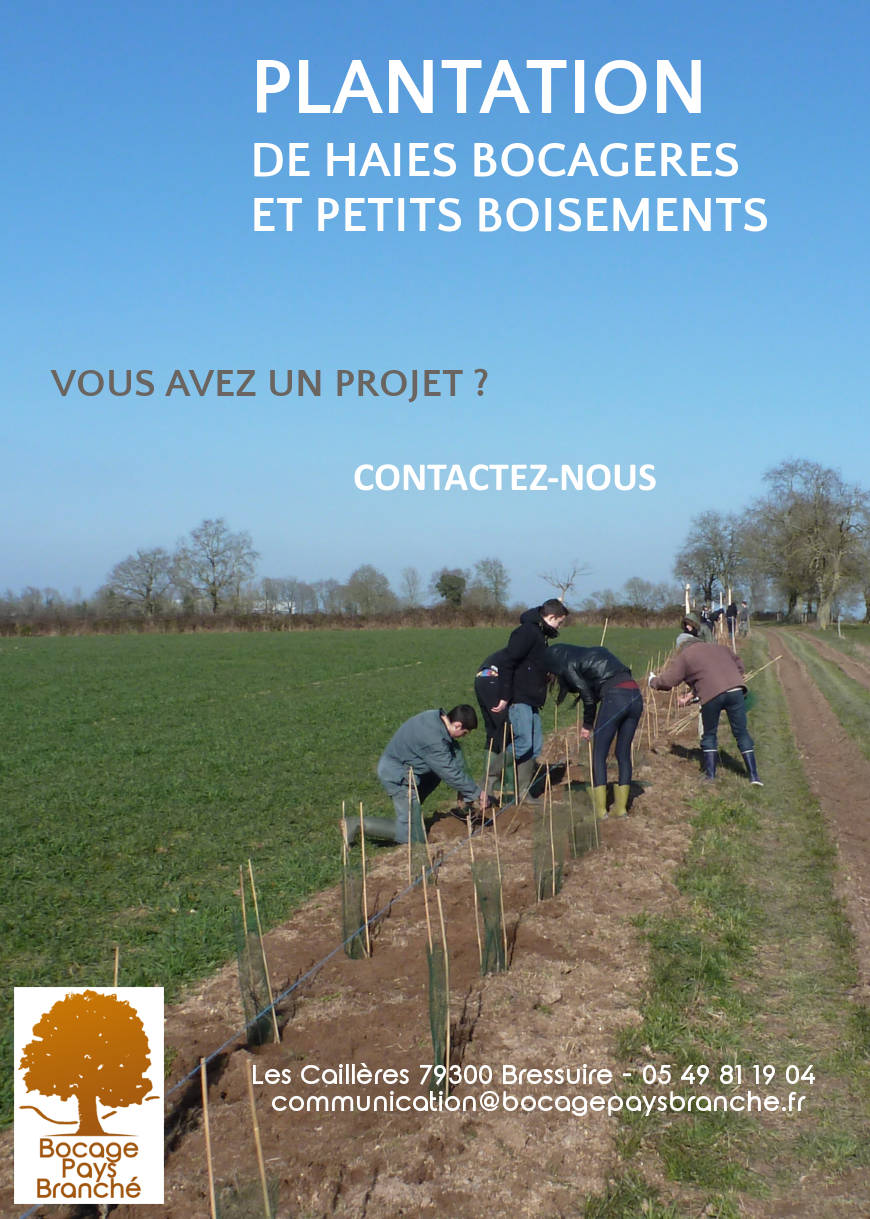 Actions pour la valorisation des haies