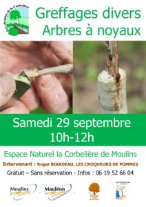 Greffage Arbres à noyaux @ La Corbelière Moulins