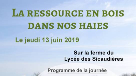 La Ressource en bois dans nos haies