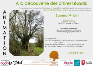 A la découverte des arbres têtards @ La Stabul'