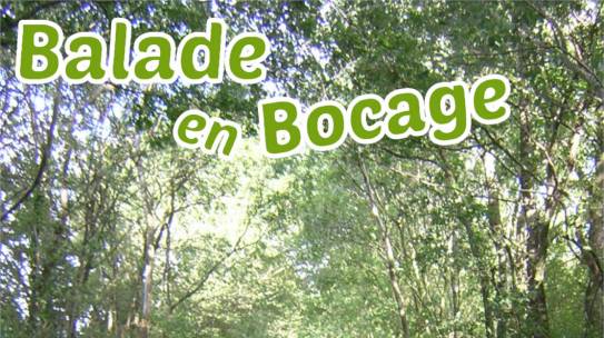 Balade en Bocage Laubreçais