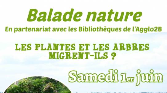 Balade nature : Les plantes et les arbres migrent-ils