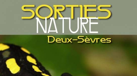 Calendrier des sorties natures en 79