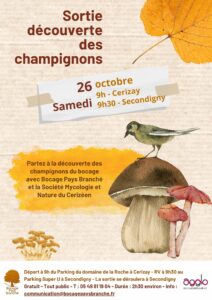 Les champignons du bocage @ Parking du Domaine de la Roche