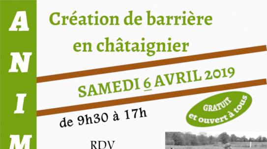 Création de Barrière en Châtaignier