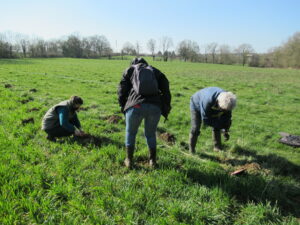Animation Plantation @ Noirlieu