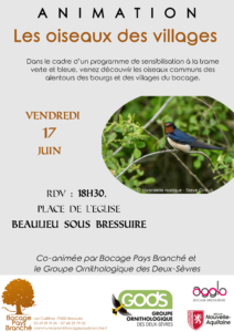 Les oiseaux des villages @ Beaulieu sous Bressuire