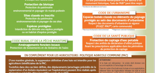 Extrait de la plaquette de Réglementation sur la protection et l'entretien des haies éditée par les Services de l'état en Deux-Sèvres