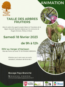 Taille des arbres fruitiers @ Verger D'Herisson
