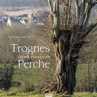 10 arbres remarquables qui peuplent nos contrées - GEO