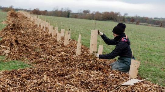 Appel à Projet Plantations avec le Département des Deux-Sèvres