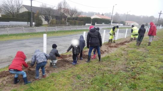 Retour sur les animations plantation de Mauléon